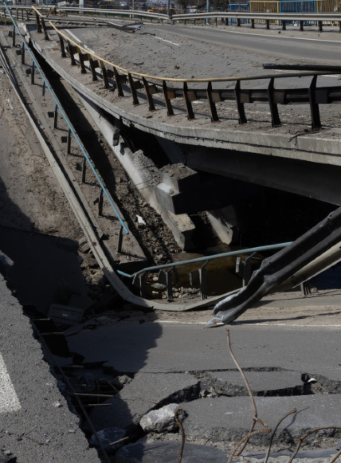 Beyond the Cracks: Why Professional Oversight is the Bedrock of South Africa’s Future
